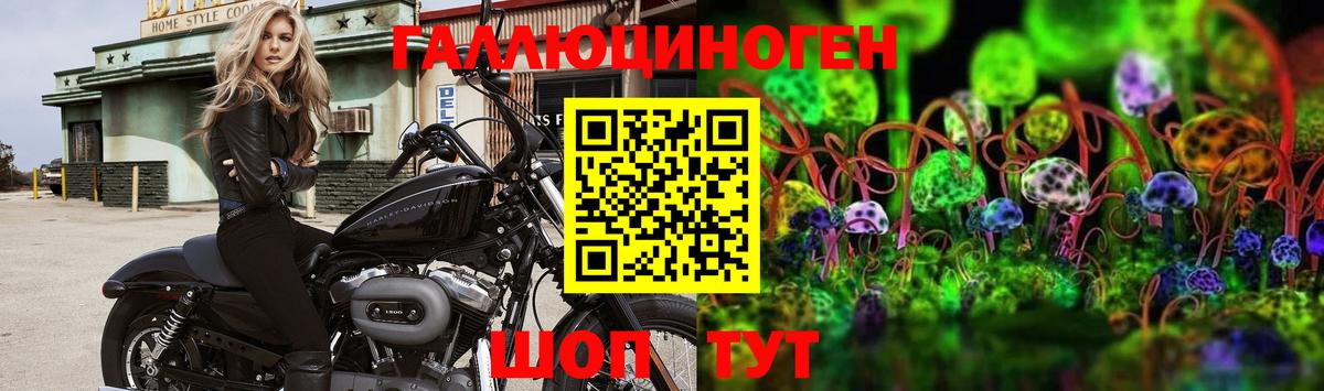 Галлюциногенные грибы Psilocybe Советск